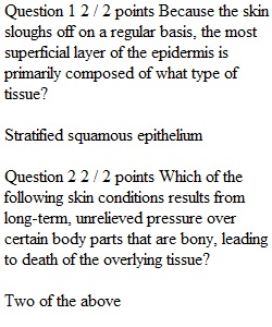 Week 9 Unit Exam 3